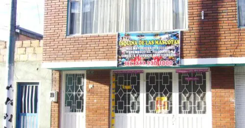 ESQUINA DE LAS MASCOTAS ESQUINA DE LAS MASCOTAS